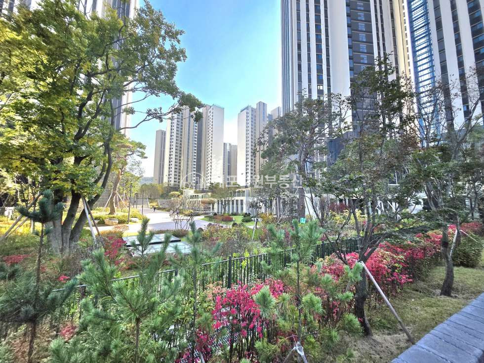 서울 강남구 개포동 660-1 135동 디퍼아 21p ㅣ 귀한 투룸 전세 ㅣ 최고급 커뮤니티 월세 매물번호 11106 사진 2