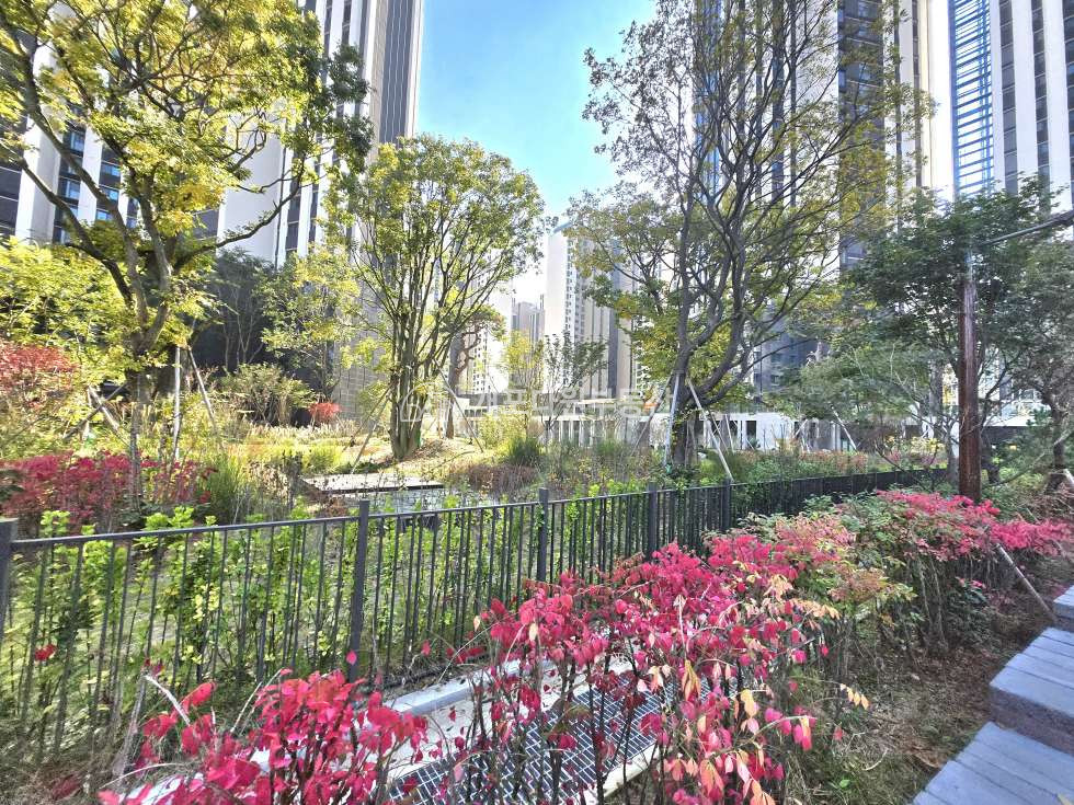 서울 강남구 개포동 디퍼아33pㅣ저층 ㅣ초품아 중품아 ㅣ 최고급 커뮤니티 전세 매물번호 11110 사진 8