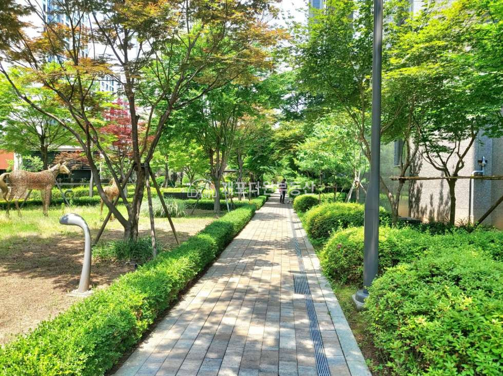서울 강남구 개포동 개래포35p ㅣ단지 중심 ㅣ동간 거리 넓어 시원한 동 매매 매물번호 11048 사진 1